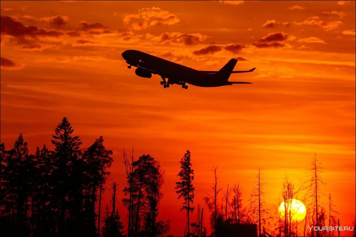 Изображение из открытых источников