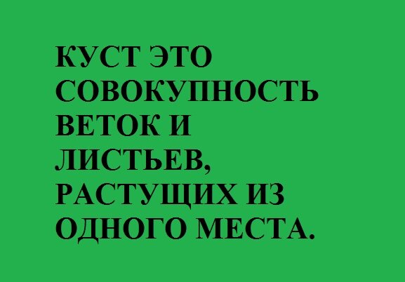 Картинка из открытых источников. Вообще-то сам рисовал, но так проще. Армейская мудрость. Им не понять.