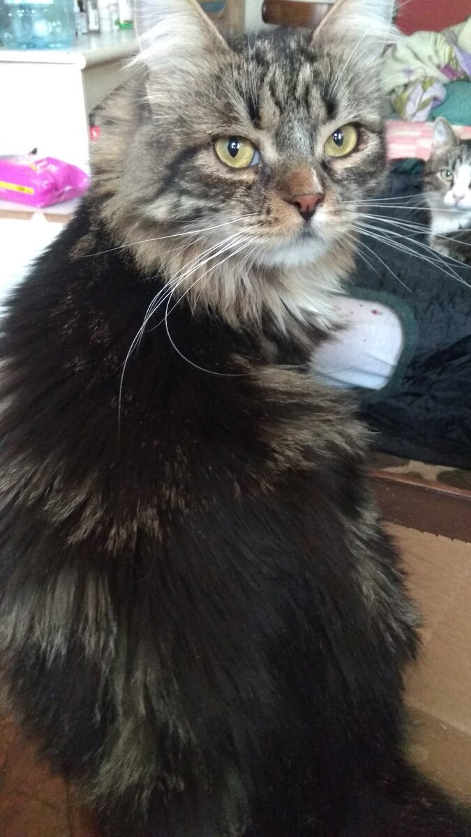 Личное фото