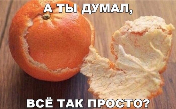 фото из открытых источников интернет