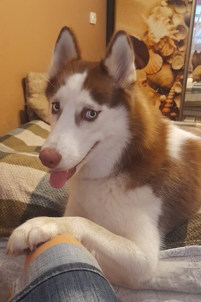 Мороженку ешь? А поделиться? 