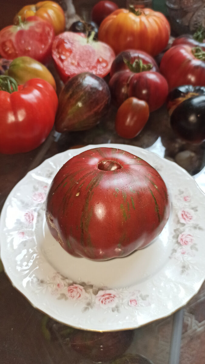 Амурский тигр розовый 