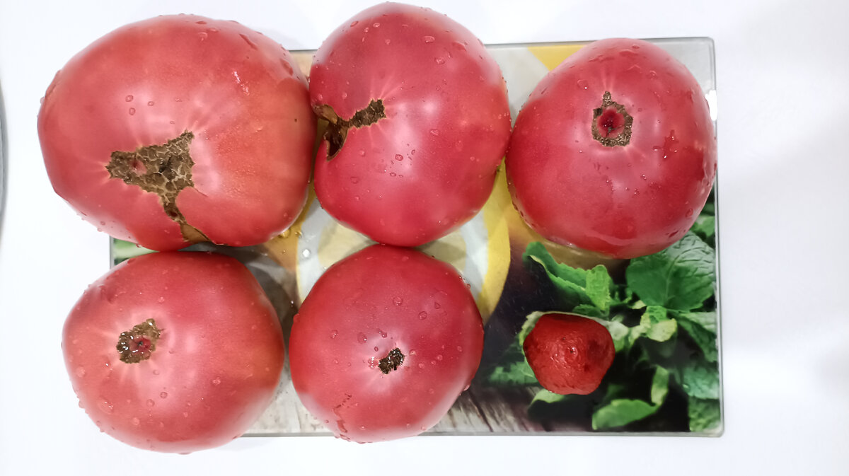 Помидоры. Фото автора канала. 