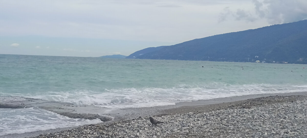 фото автора-Гагра