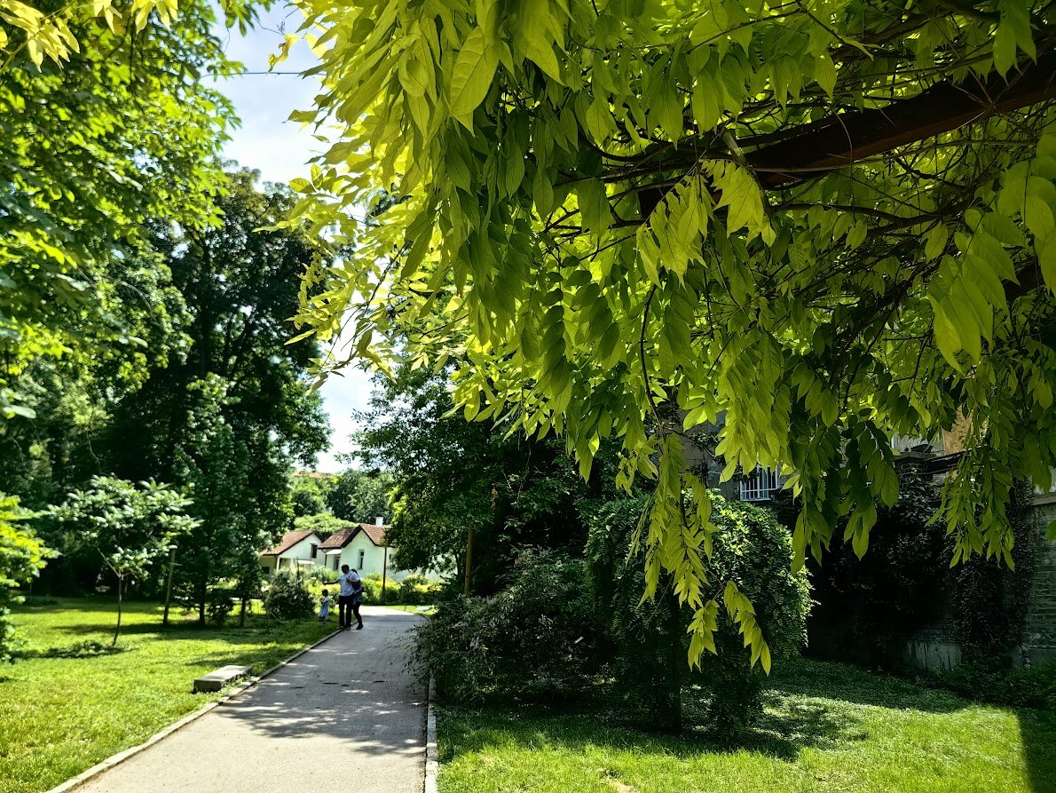 Приглашаю в мир красоты, спокойствия и яркой зелени