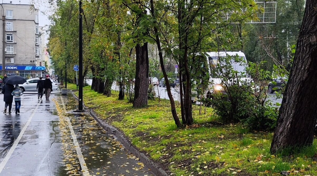 Осень в городе.