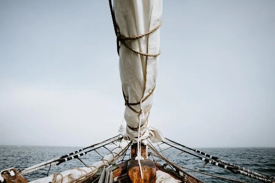 ФОТО Annie Spratt on Unsplash