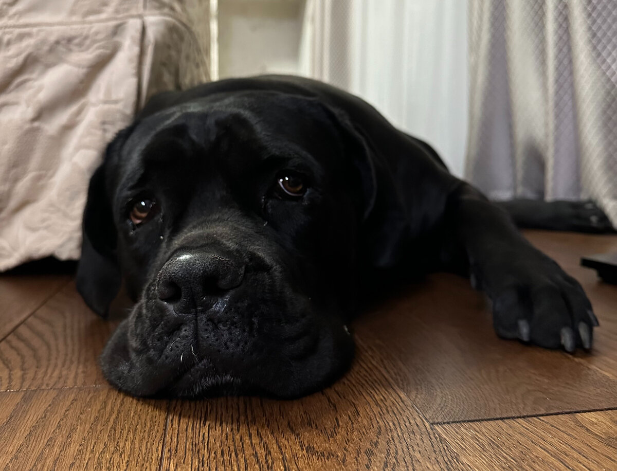 Нора Антоновна собственной персоной