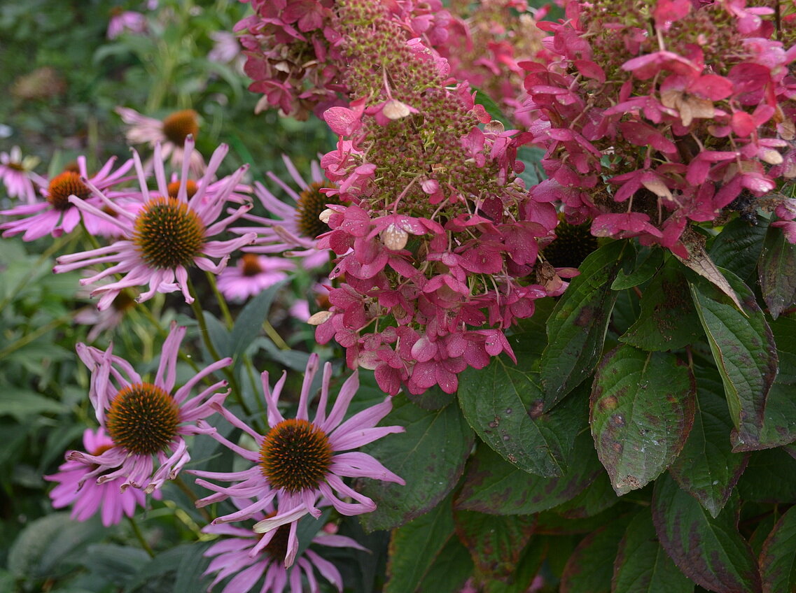 Все фотографии в статье мои и сделаны 10-11 сентября 2023