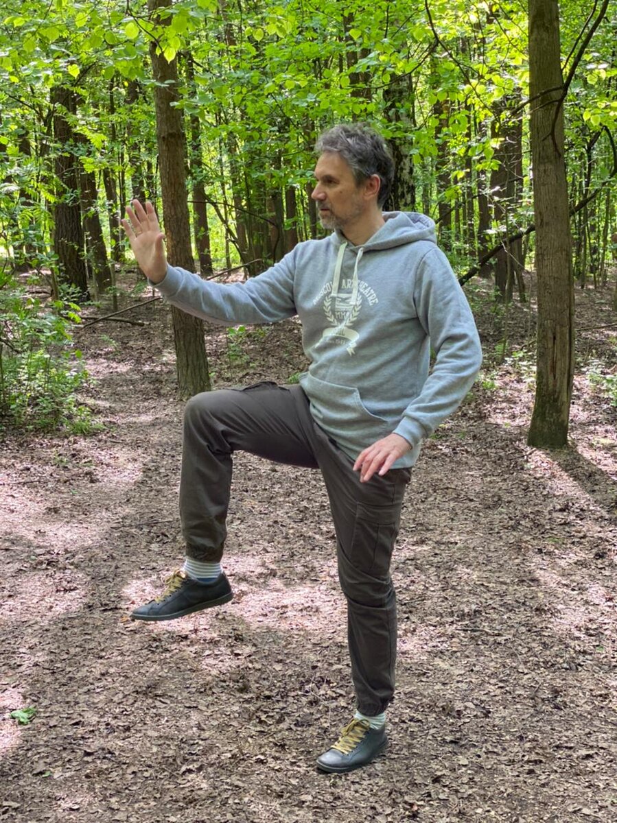 Позиция тайцзицюань "Золотой петух стоит на одной ноге"