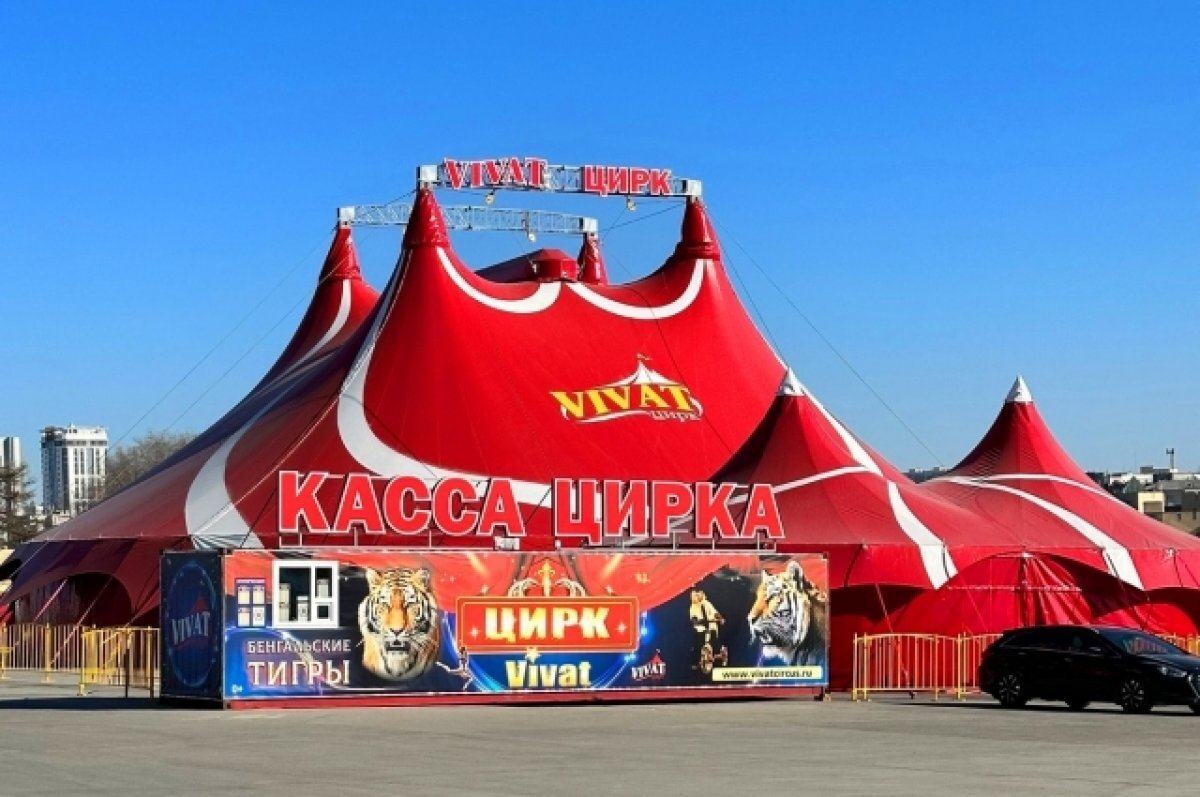    На гастроли в Екатеринбург приехали бенгальские тигры