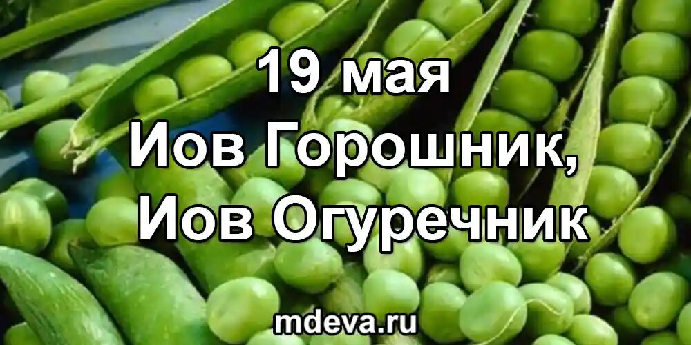 19 мая по народному календарю Иов Горошник, Иов Огуречник