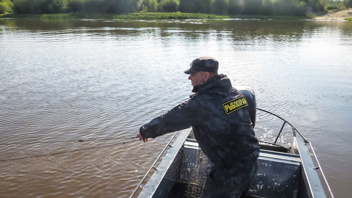    300 сетей рыбоохрана изъяла из водоёмов Югры