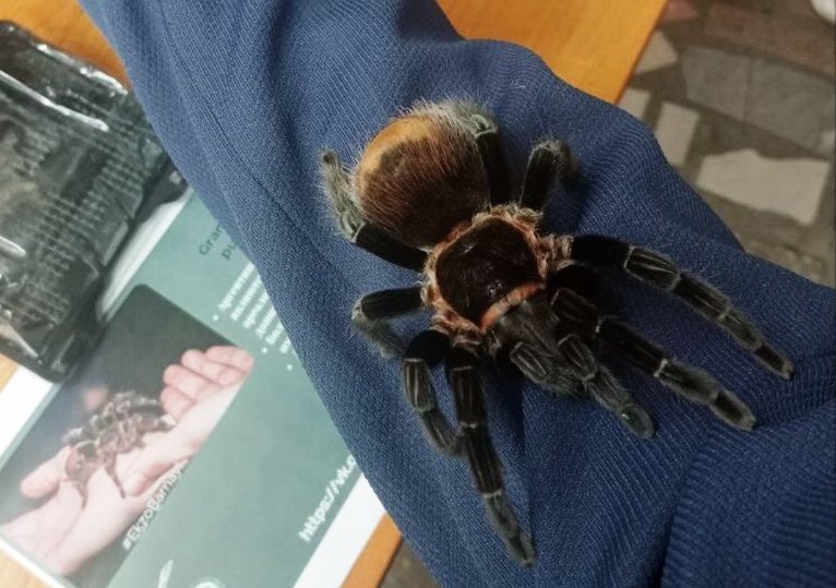     Фото: автора