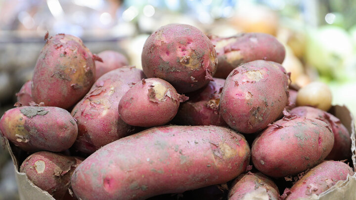 ФОТО: BULKIN SERGEY/NEWS.RU/GLOBALLOOKPRESS