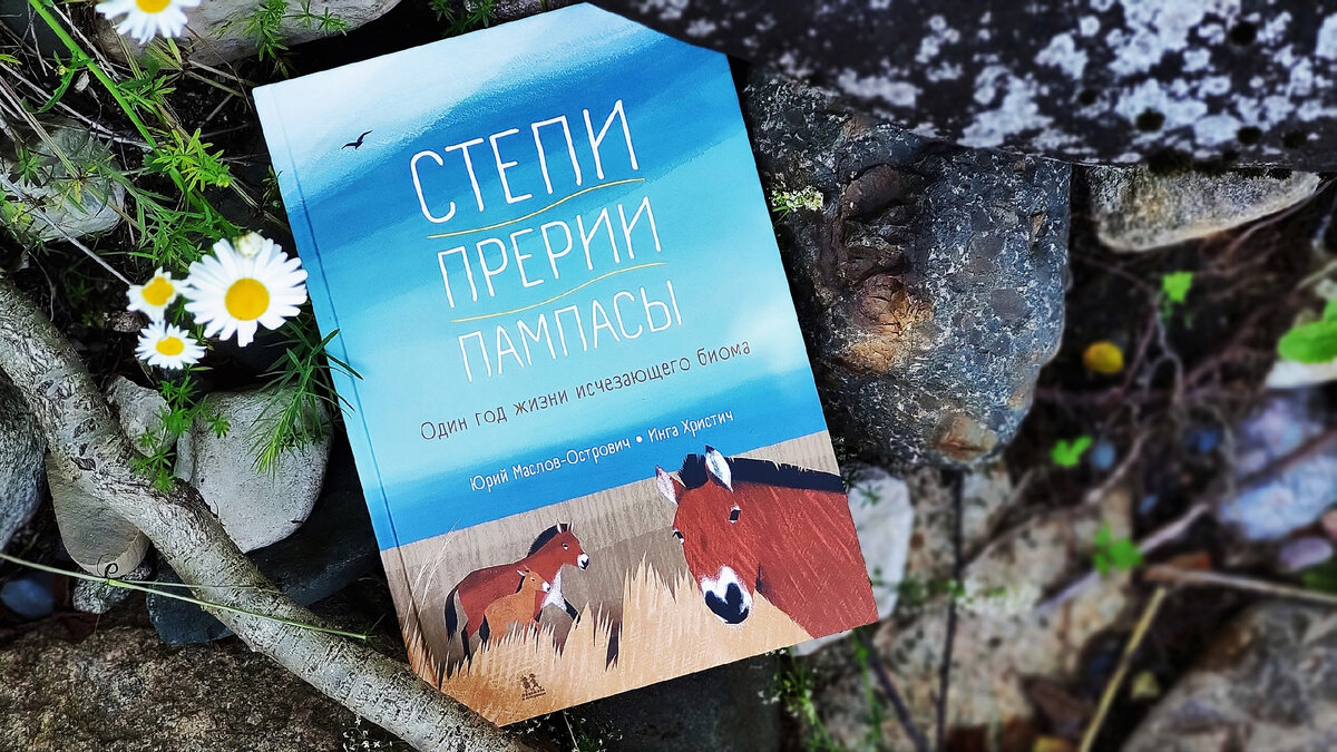 5 захватывающих детских книг про путешествия, степи и вулканы | Научпоп для  детей | Дзен