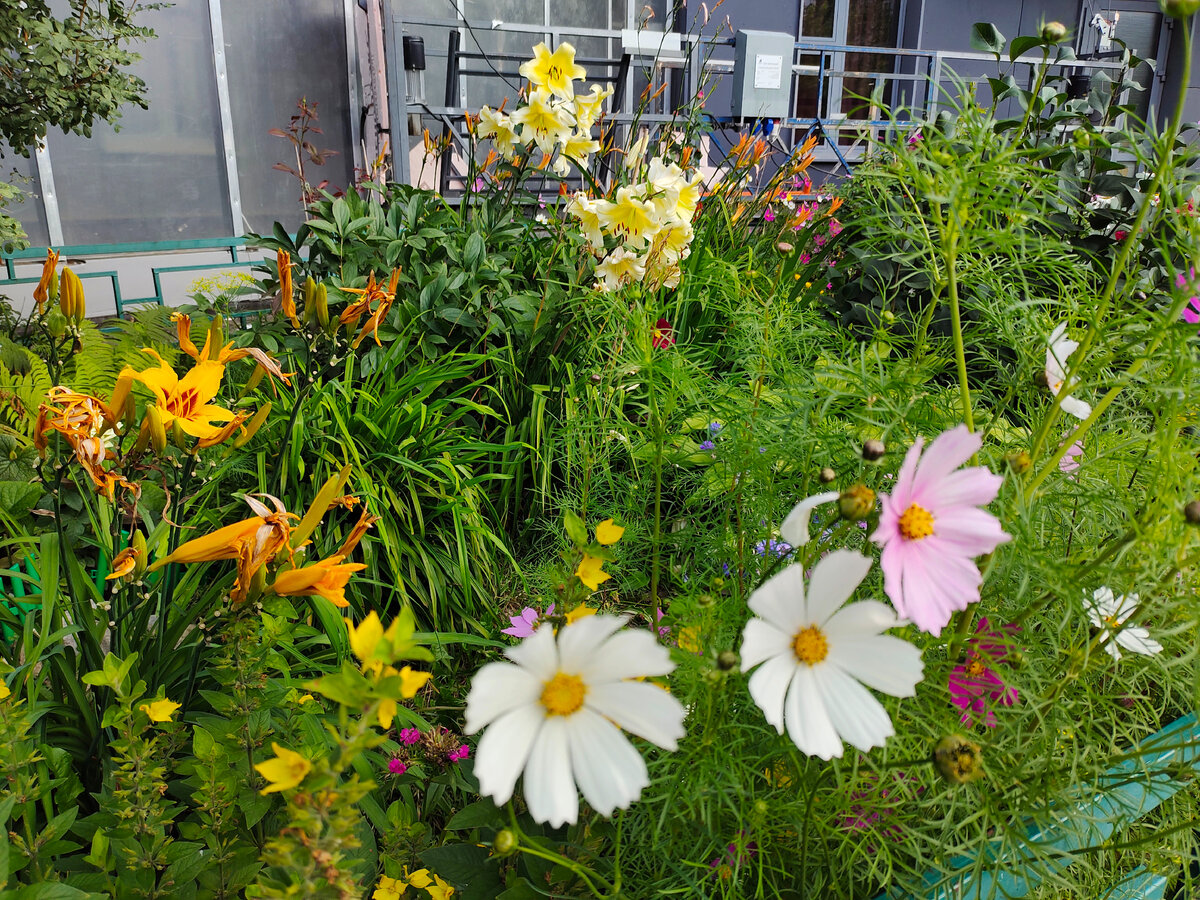 Насколько удобно жить в Кунцево | ИСКРА | Дзен