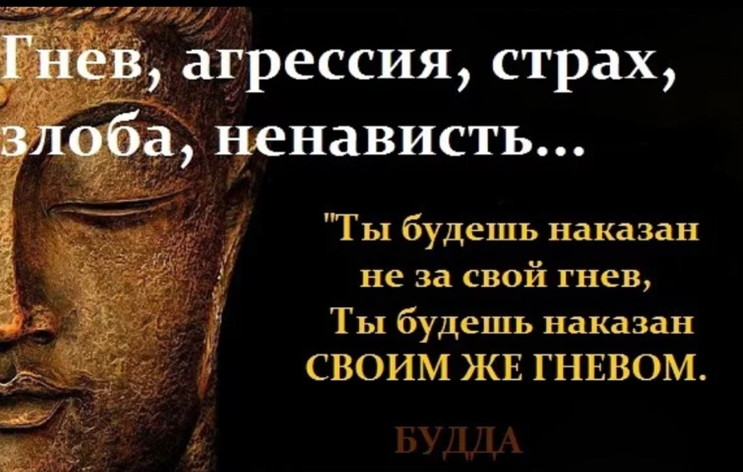 Наказать за обиды. Высказывания про злость. Цитаты про гнев. Цитаты про злость. Оцеиаты отгневе.