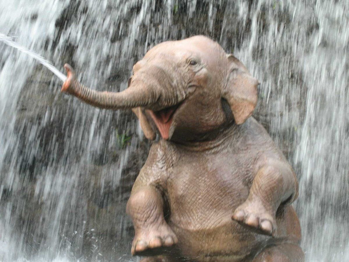 Из открытых источников.