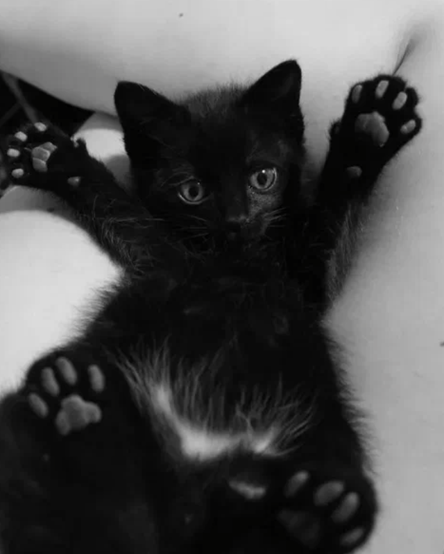 Фото из открытых источников