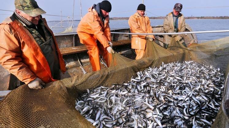    ГК «За Родину»