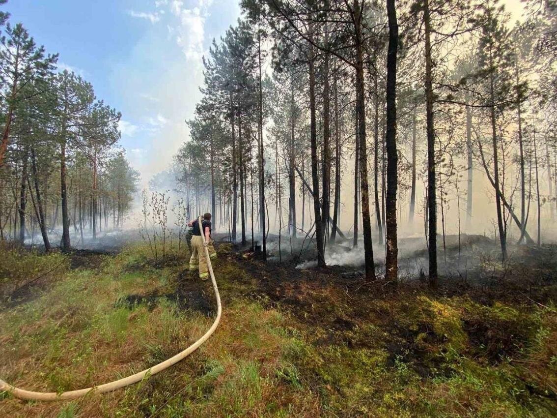    Два лесных пожара тушат в Югре