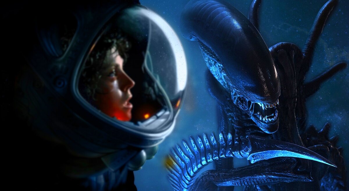 Яндекс картинки.