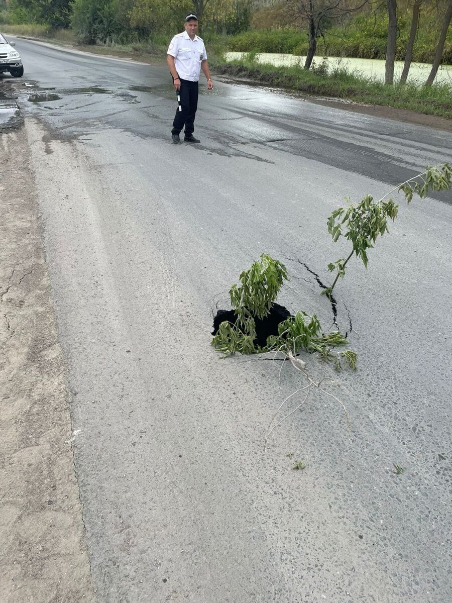 В Вольске из-за провала перекроют региональную трассу | Вольск.ру | Дзен