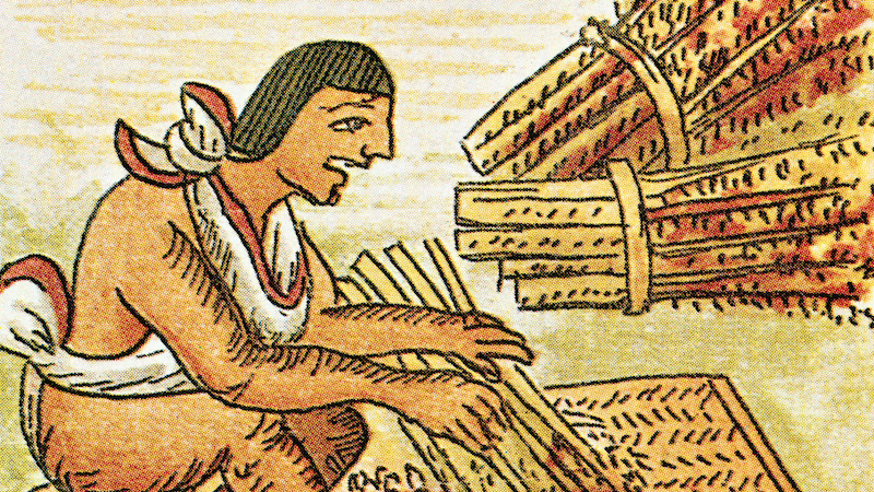 Древняя персия сельское хозяйство. Растение из которого ацтеки получали хлебную. Майя ацтеки инки земледелие. Земледелие индейцев северной америки. Растение из которого ацтеки получали хлебную.