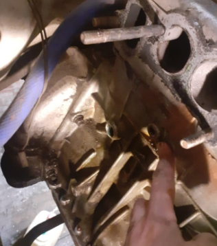 оно же в живую