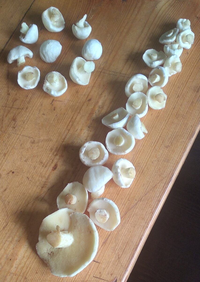 Мал мала меньше