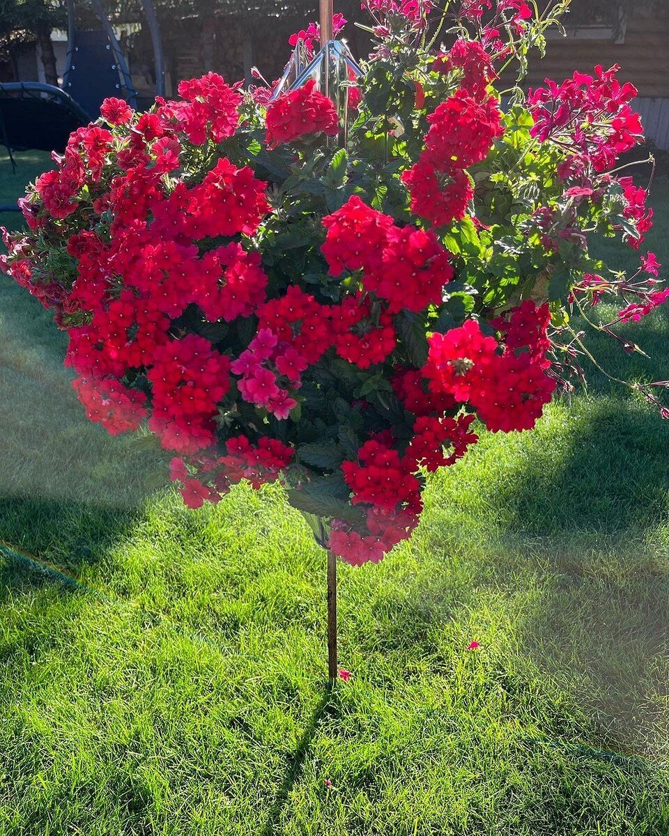    Соцсети блогера sokolovanataliia1206