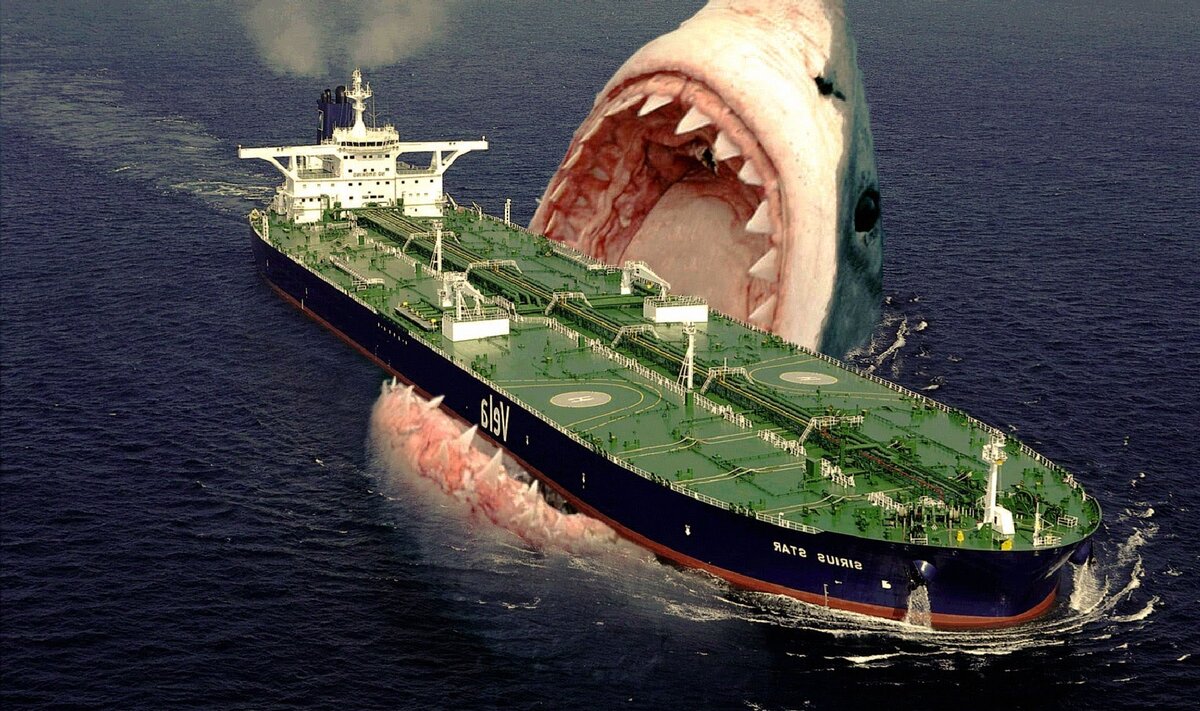 Возвращение Гиганта: Мегалодон – Самая Большая Акула в Мире | РАЗУМ И  ЧУВСТВА | Дзен