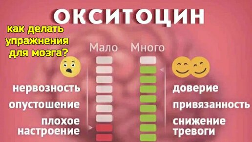 Мозг страдает от гнева и раздражительности? Помогут упражнения для повышения уровня окситоцина