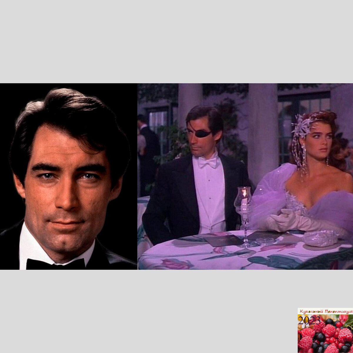 Тимоти Далтон, прототип кукол