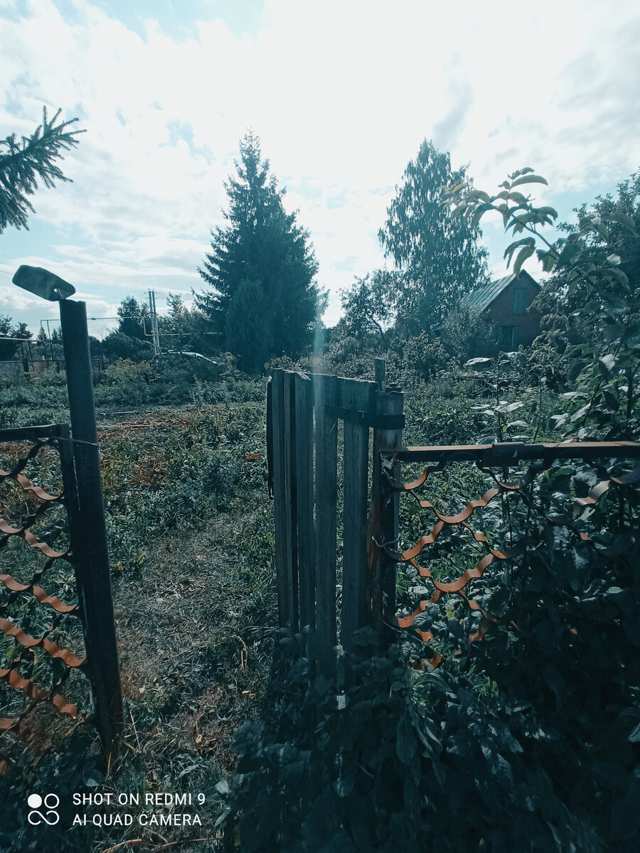 Фоточка для создания атмосферы 🌾🌿