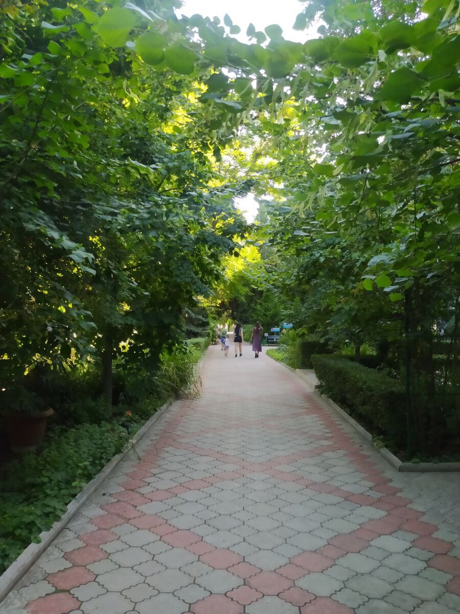 крым пансионат солнечный