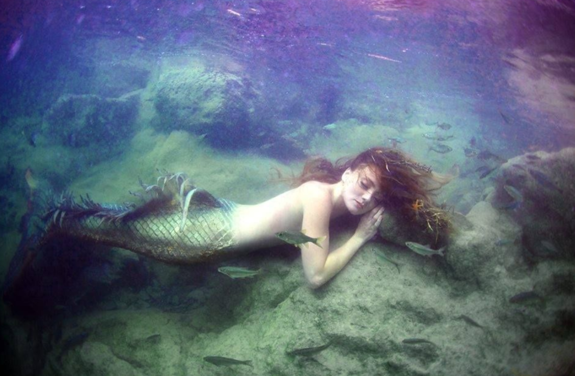 кэтрин грей русалка. русалочка ариэль настоящая. вознесенская русалка в бассейне. русалочка (the mermaid: ingyeo gongjoo). а4 риви русалка.