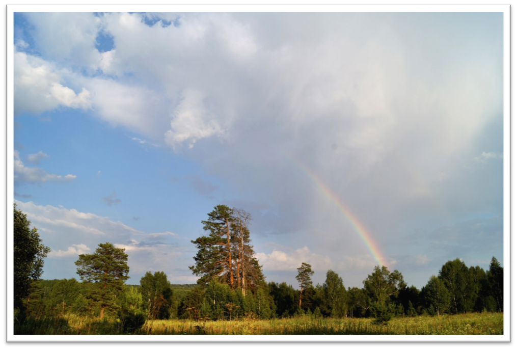    © Фотография Кичаевой Людмилы