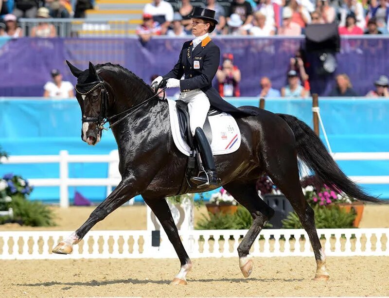 Фото: horseandhound-co-uk