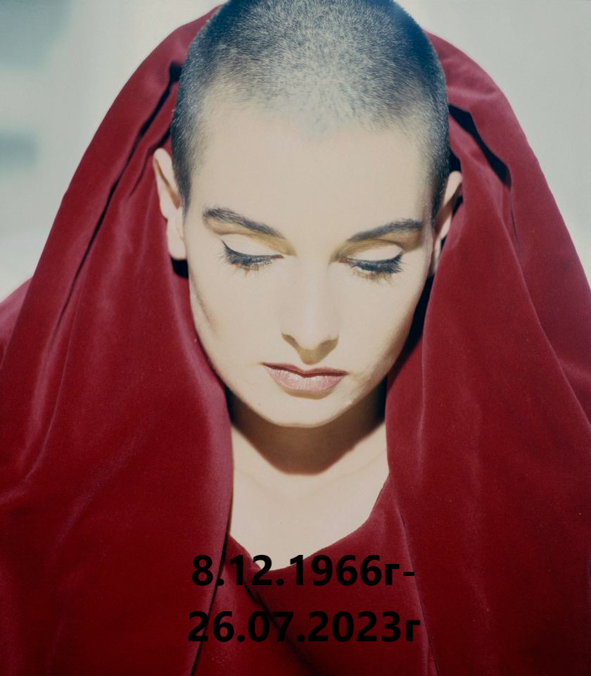 фото взято из интернета