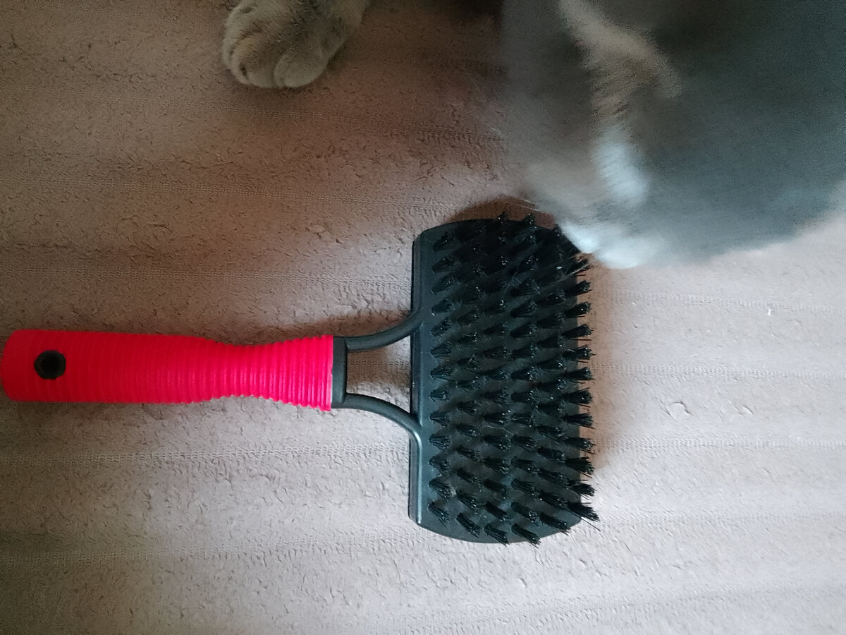 Малышка😺 помогала мне фотографировать 😄