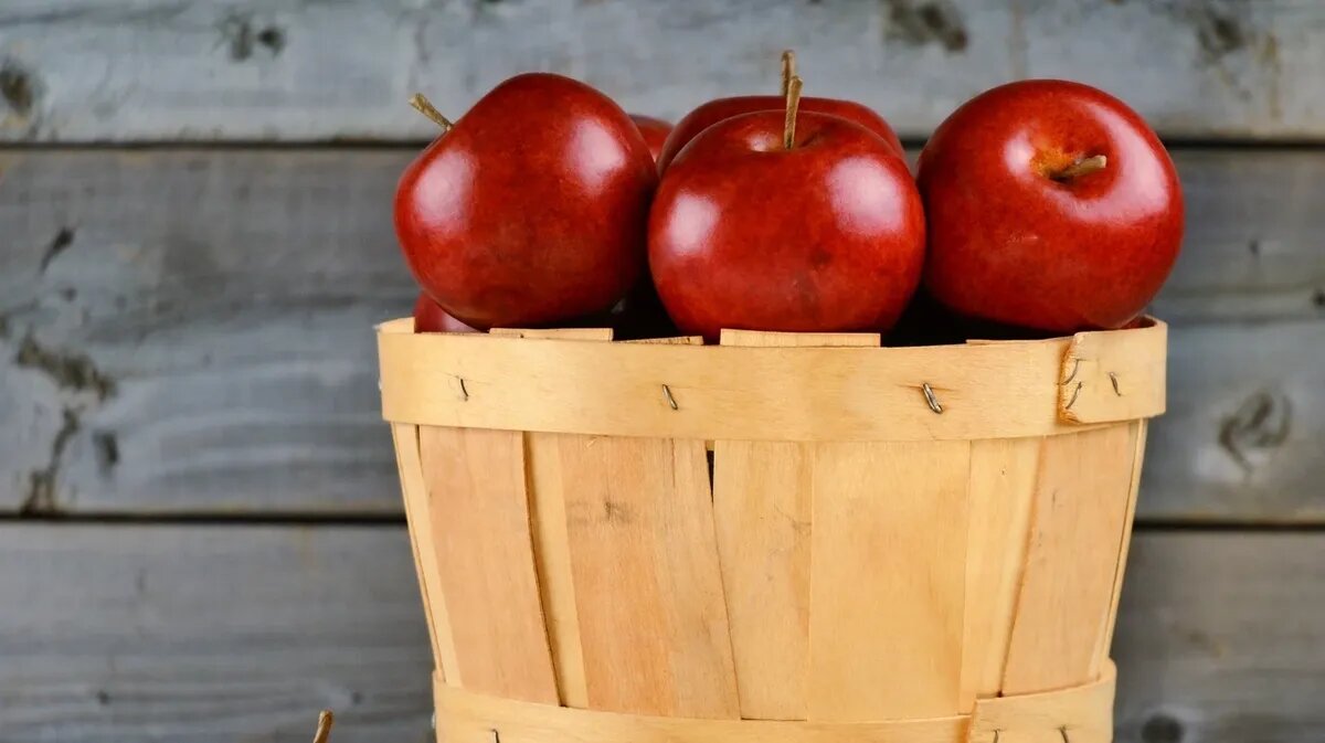 Приближается Яблочный Спас. Фото: pxhere.com