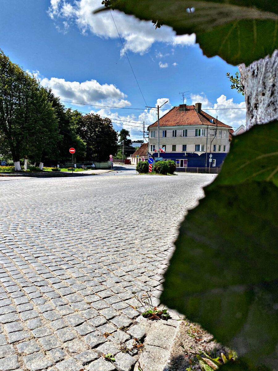 багратионовск парк