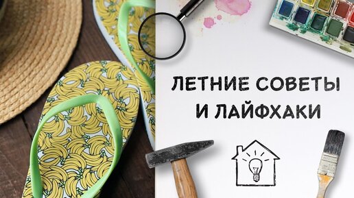 Ландшафтный дизайн дачного участка