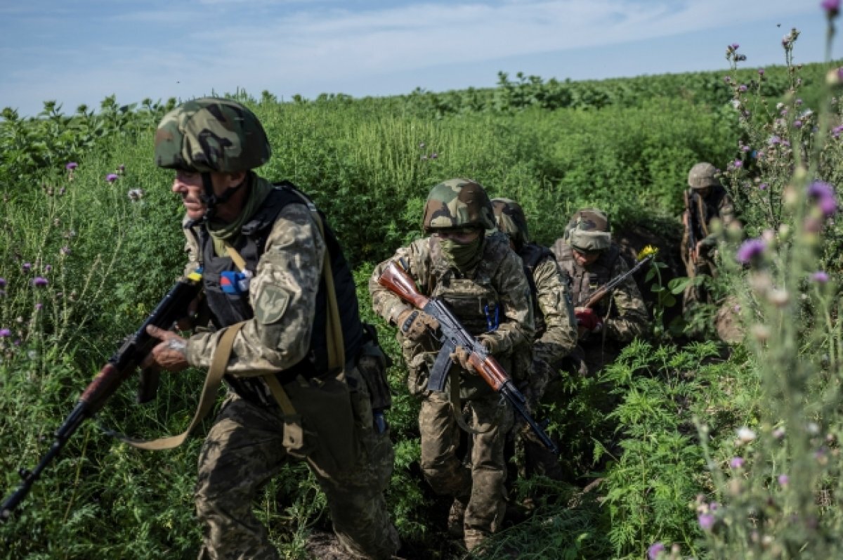    Аналитик из США Поузен предупредил ВСУ о смертельной ловушке Путина