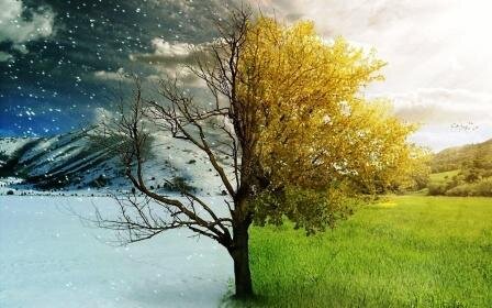 Иллюстрация из свободного источника