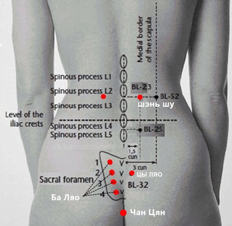 Как называется пятая точка. Точка акупунктуры шэньшу BL-23. Акупунктурные точки при боли в крестце. Акупунктурные точки на пояснице и ягодицах. Точки акупунктуры при болях в спине.
