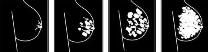 Дзен, это СХЕМА, а не откровенный контент