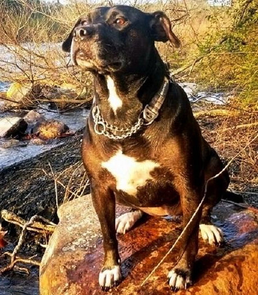  Вот такие "неожиданные гости", иногда появляются в нашей жизни и меняют ее